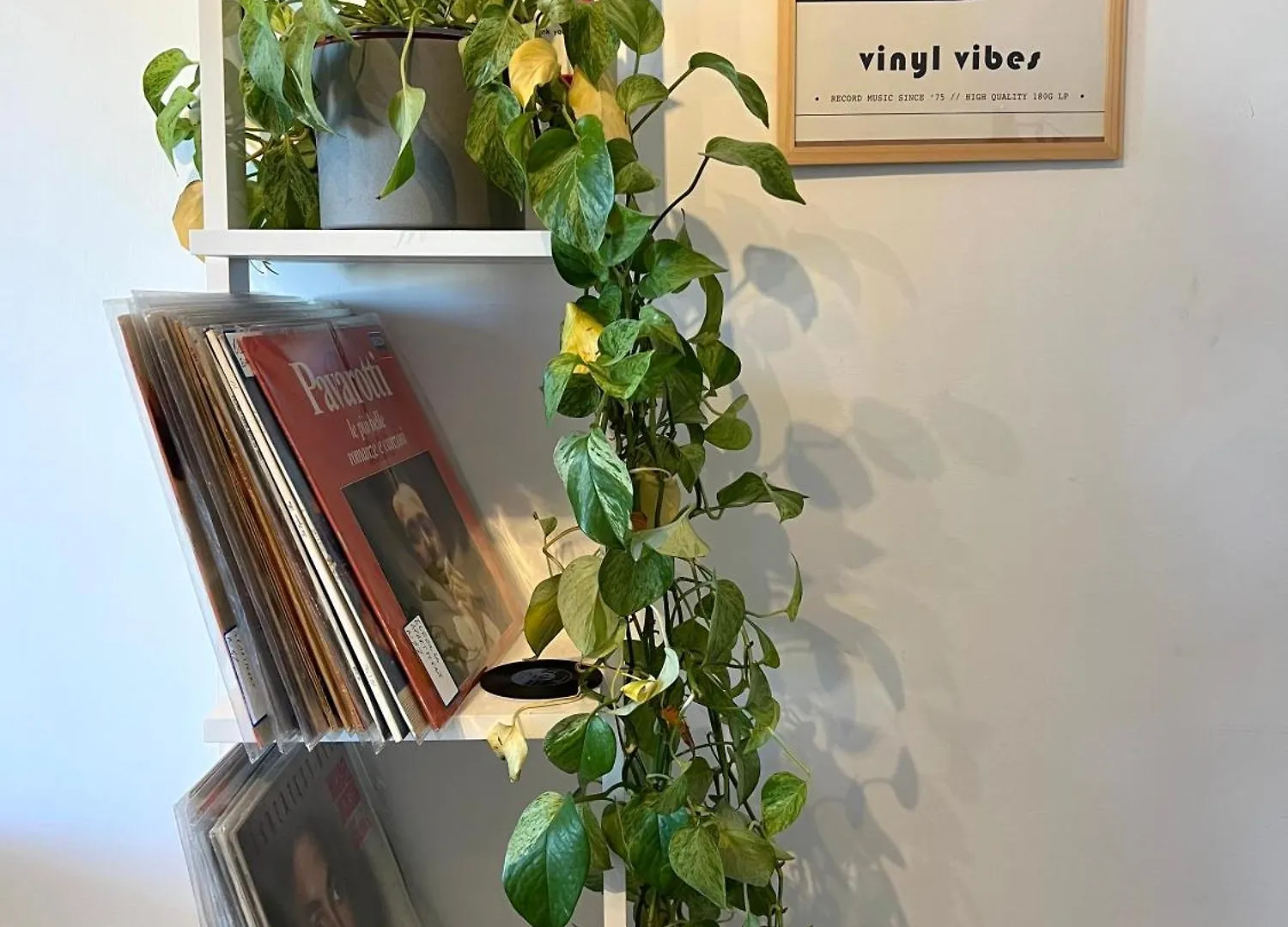 Eufonia Vinyl Friendly Apartment Italie